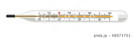 Body temperature measuring device, thermometer Body temperature measuring device, thermometer 98973701