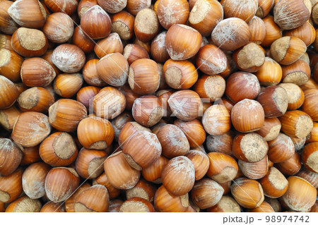 Stack of hazelnuts on a market stall 98974742