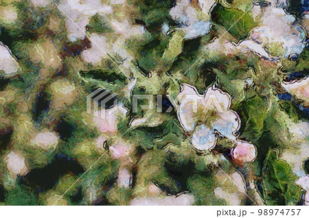 Apple blossom digital painting Apple blossom digital painting 98974757