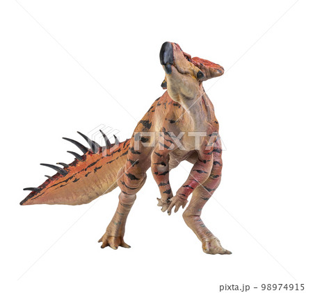 Protoceratops  , dinosaur on  isolated background 98974915