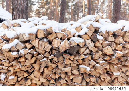 Stacked firewood covered with white snow, wood for kindling 98975636