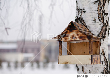 Wooden bird feeder with seeds handging from tree in winter garden. 98975639