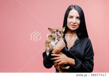 Wonderful european female model chilling in studio with puppy. Indoor portrait of debonair girl enjoying photoshoot with her cute pet. Wonderful european female model chilling in studio with puppy. Indoor portrait of debonair girl enjoying photoshoot with her cute pet. 98977417