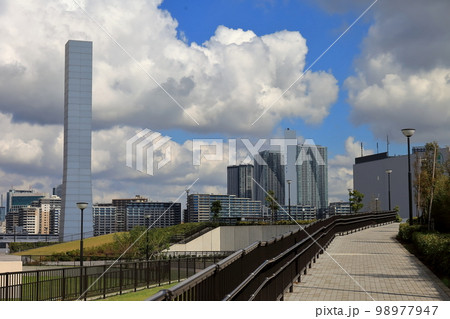 豊洲ぐるり公園の風景 98977947