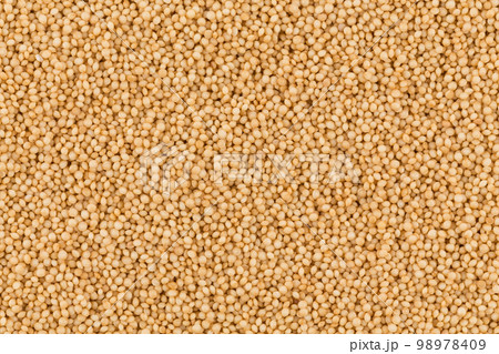 amaranth grain closeup amaranth grain closeup 98978409