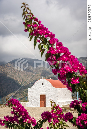 Bougainvillea and Holy Triad Monastery in Mesochori Bougainvillea and Holy Triad Monastery in Mesochori 98979576