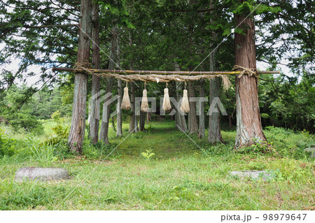 旧鬼死骸村・鬼死骸八幡神社前の杉並木としめ縄（岩手県一関市真柴） 98979647