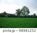 Park　広い緑の公園　 98981252