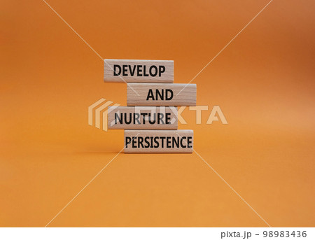 Persistence and development symbol. Wooden blocks with words Develop and nurture persistence. Beautiful orange background. Business and 'Develop and nurture persistence' concept. Copy space. Persistence and development symbol. Wooden blocks with words Develop and nurture persistence. Beautiful orange background. Business and 'Develop and nurture persistence' concept. Copy space. 98983436