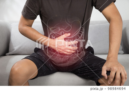 internal organs internal organs 98984694