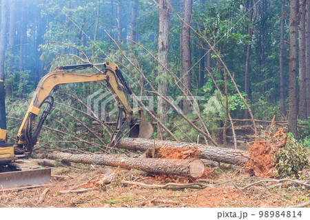 Tractor manipulator is used in deforestation process pull down trees raise logs to clearing land for housing construction. 98984814