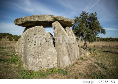 PORTUGAL ALENTEJO REDONDO 98985153