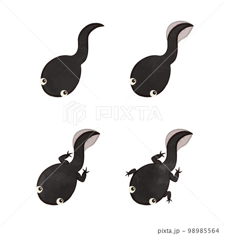 かわいいおたまじゃくしたちのイラストセット かわいいおたまじゃくしたちのイラストセット 98985564