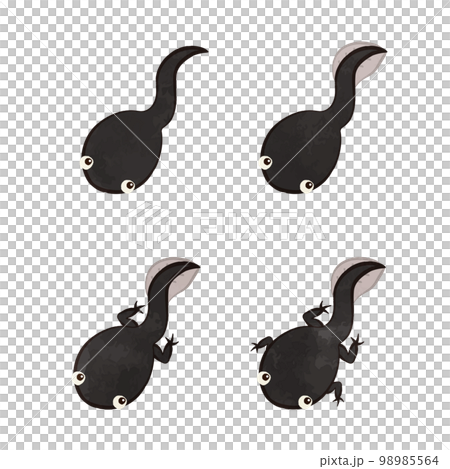 插圖集的可愛蝌蚪 98985564