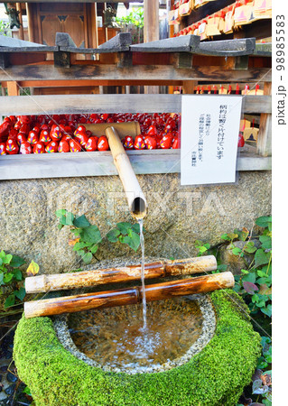 京都 市比賣神社 天之真名井 京都 市比賣神社 天之真名井 98985583