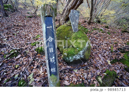 群馬県渋川市 榛名山系 伊香保森林公園にある二ツ岳登山道にある標識 2022年11月3日 群馬県渋川市 榛名山系 伊香保森林公園にある二ツ岳登山道にある標識 2022年11月3日 98985713