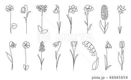 Continuous one line spring flowers. Botanicals silhouette, early flower and nature beauty hand drawn vector illustration set 98985859