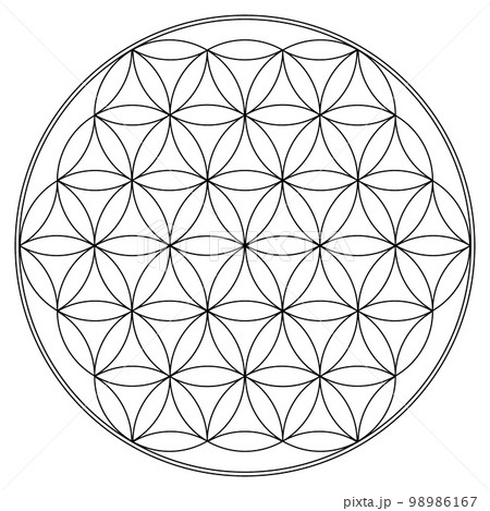 フラワーオブライフの線画 98986167