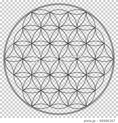 フラワーオブライフの線画 98986167