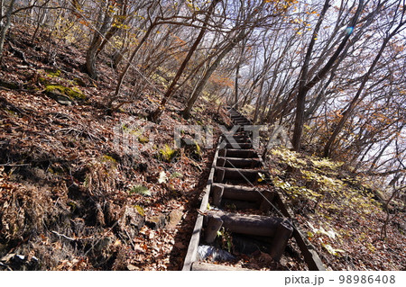 群馬県渋川市 榛名山系 伊香保森林公園にある二ツ岳登山道 雌岳への登り 2022年11月3日 群馬県渋川市 榛名山系 伊香保森林公園にある二ツ岳登山道 雌岳への登り 2022年11月3日 98986408