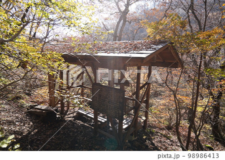 群馬県渋川市　榛名山系　二ツ岳の雌岳への登り口付近にある避難小屋　2022年11月3日 98986413
