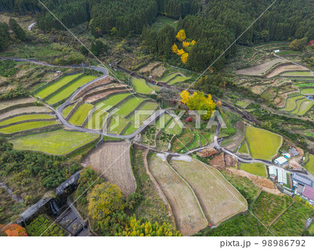 東温市 東温市 98986792