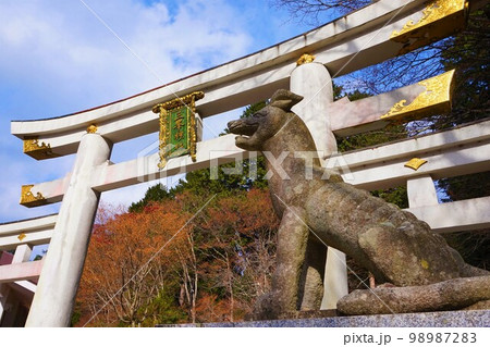 三峯神社　神社　秩父三社　三ツ鳥居　明神型鳥居　オオカミ　神犬 98987283