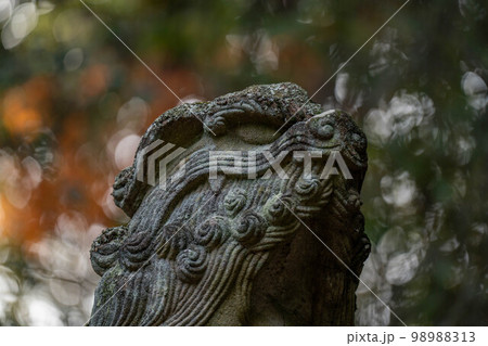 琴弾八幡宮 98988313