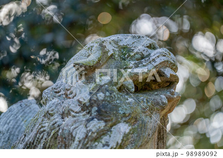高屋神社 98989092