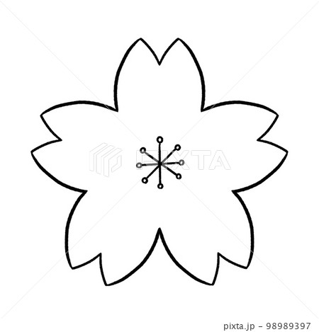 白黒　桜イラスト 98989397