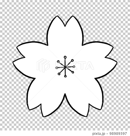 白黒　桜イラスト 98989397