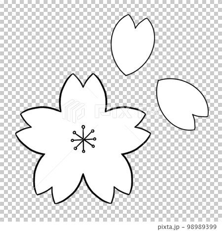 黑白櫻花插圖 黑白櫻花插圖 98989399