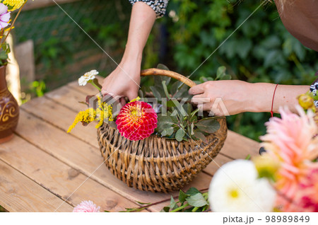 The florist makes a bouquet in a basket of dahlias and asters 98989849