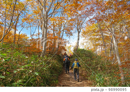 谷川岳の登山風景 | 群馬県みなかみ町【10月】 谷川岳の登山風景 | 群馬県みなかみ町【10月】 98990095