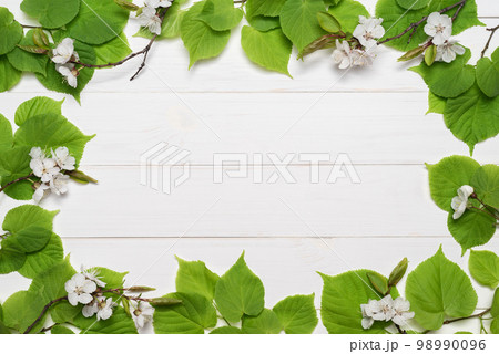 Decorative frame of green leaves and white flowers Decorative frame of green leaves and white flowers 98990096
