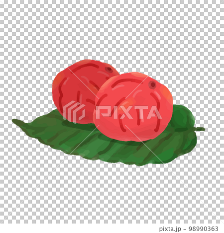 看起來很好吃的手繪酸梅 看起來很好吃的手繪酸梅 98990363