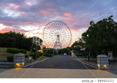 東京都江戸川区 夕暮れの葛西臨海公園 観覧車 98993151