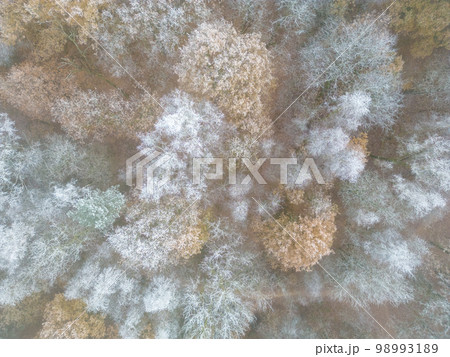 Aerial view or top view of winter forest, pine tree with snow covered. Winter background shot by a 98993189