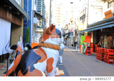 「夕やけだんだん」と「谷中ぎんざ」近辺の風景 98993277