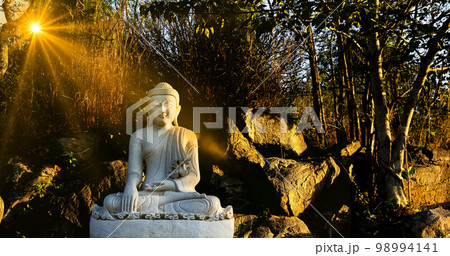 White meditating Buddha statue sits on the rock pile among forest trees in the afternoon time at India. Great religious architecture. White meditating Buddha statue sits on the rock pile among forest trees in the afternoon time at India. Great religious architecture. 98994141