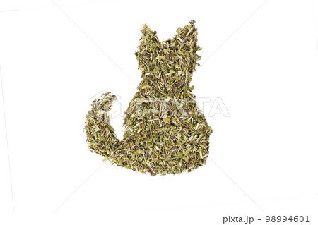 Catnip herb in latin - Nepeta cataria in the shape of a sitting cat isolated on white background. Medicinal herb. 98994601