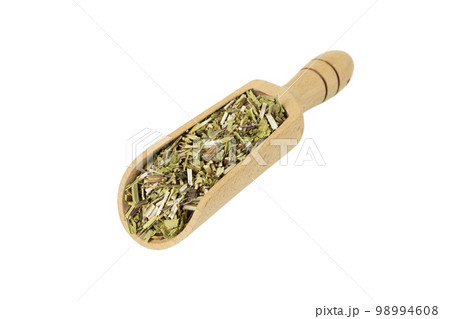 Catnip herb in latin - Nepeta cataria in wooden scoop isolated on white background. Medicinal herb. 98994608