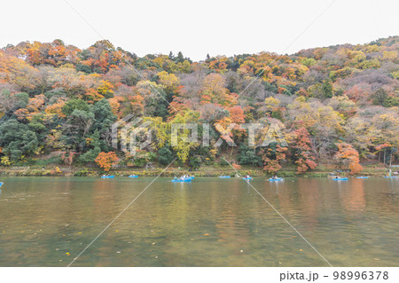 京都　嵐山の紅葉 98996378
