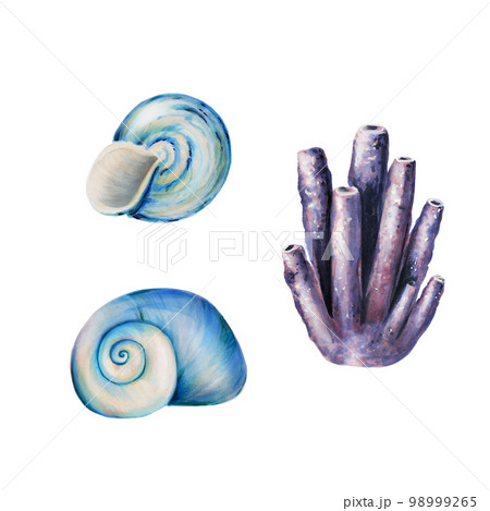 Watercolor composition with corals, shells. Hand painting clipart underwater life objects on a white isolated background. For designers, decoration, postcards, wrapping paper, scrapbooking, covers Watercolor composition with corals, shells. Hand painting clipart underwater life objects on a white isolated background. For designers, decoration, postcards, wrapping paper, scrapbooking, covers 98999265