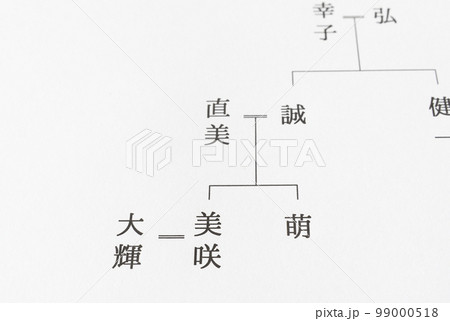 家系図　夫婦　婿　婿養子　相続 99000518