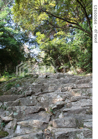 神倉神社 道 99000925