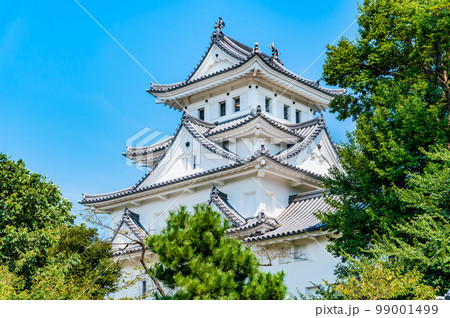 岐阜県 大垣城 ~天守~ 岐阜県 大垣城 ~天守~ 99001499