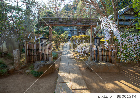吉見観音　安楽寺　境内　埼玉県吉見町　　　　　　　 99001584