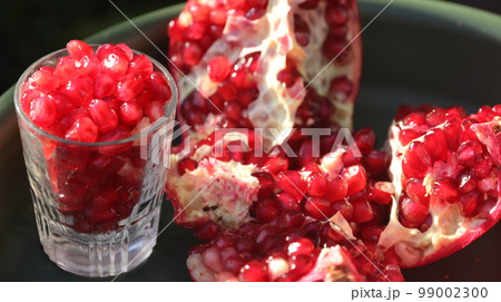 カリフォルニア柘榴 99002300