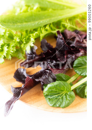 サラダ用葉物野菜 サラダ用葉物野菜 99003260
